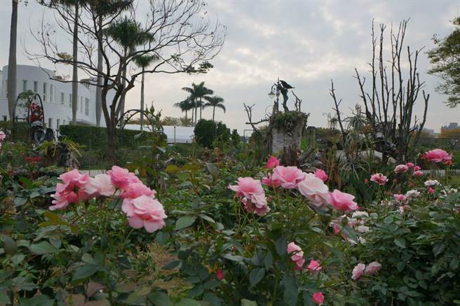 2022台北玫瑰展「玫好制作所」登场。（北市工务局提供／杨亚璇台北传真）