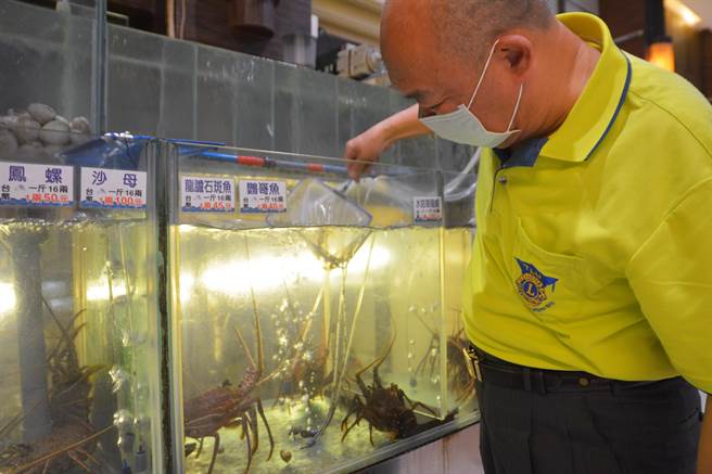 東港海產店吳姓業者看著現撈水族箱中的龍膽石斑、龍蝦，嘆道「好險還活著」。（謝佳潾攝）