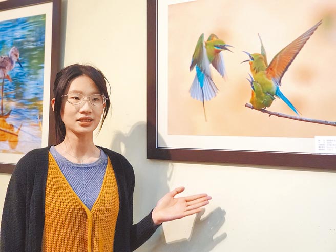 環球科大大四生池沛玲與她花2年飛3趟金門才順利拍到的栗喉蜂虎。（周麗蘭攝）