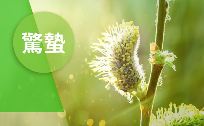 惊蛰是春天万物甦醒的时节，也要慎防细菌病毒活跃。(图/陈友龄制图)