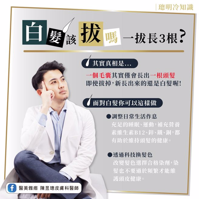医师图文解析该如何应对白髮。（图／陈昱璁医师授权提供）