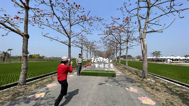 白河木棉花季5日盛大开幕，赏花区有设置入口意象。（张毓翎摄）