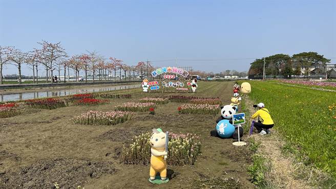 木棉花道旁有大片的花海景观，吸引许多民眾前往拍照。（张毓翎摄）