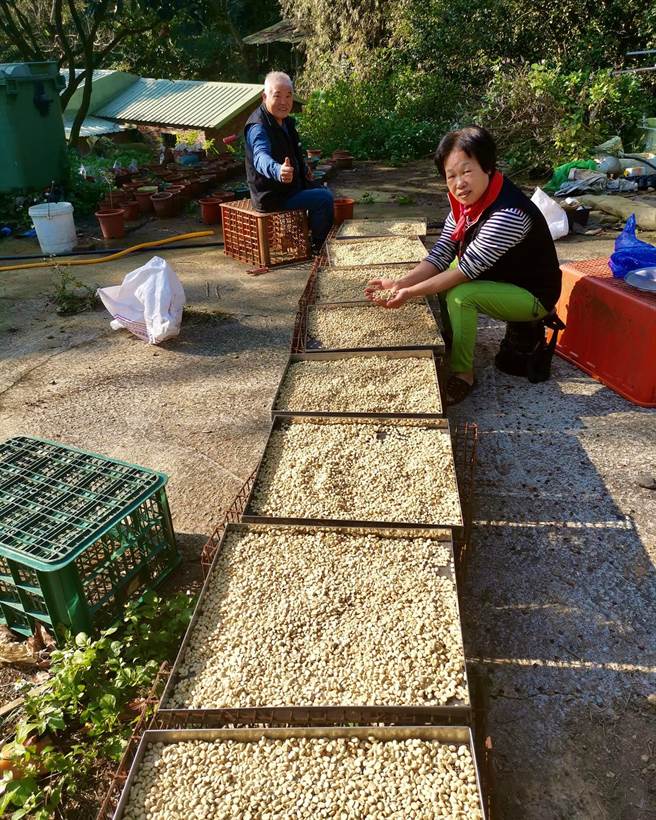 桃园咖啡庄园节5日在桃园市龟山区良美农场举办。（业者提供）