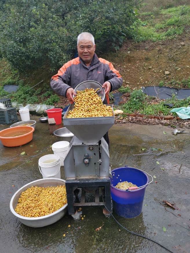 桃园咖啡庄园节5日在桃园市龟山区良美农场举办。（业者提供）