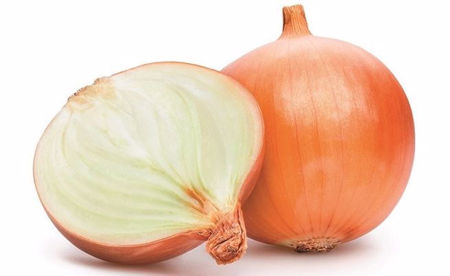 （图片来源：shutterstock）