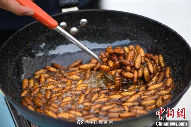 大陆全国政协委员杨忠岐建议，应纳食用昆虫入食品名录清单。（中新社）