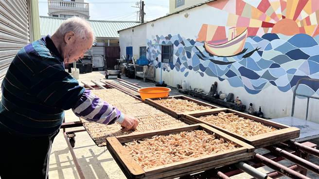 野生剑虾产季到了，以出产「虾乾」闻名的台南将军青鲲鯓，当地业者会採购来日晒。（张毓翎摄）