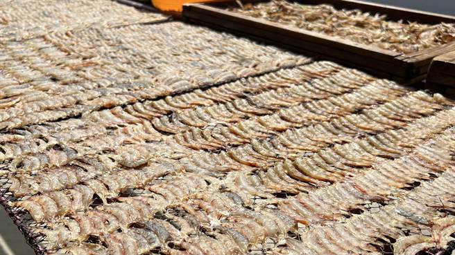 辨别剑虾和火烧虾的方式可从外观，剥完壳的剑虾呈黑色，火烧虾则是淡粉红。（张毓翎摄）