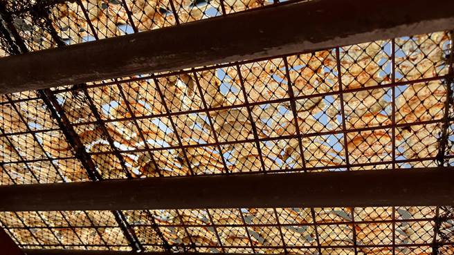 虾乾得经3至4天的风乾和日晒，若遇到多雨潮溼的季节，时间会更久。（张毓翎摄）