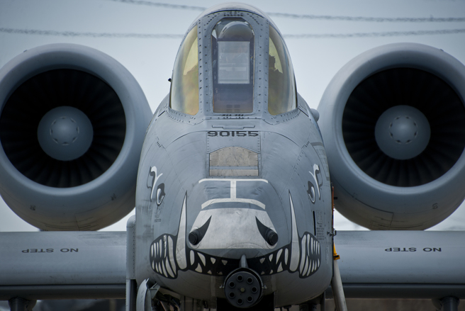 皮雅特呼吁，应立即向乌克兰提供3个中队的A-10攻击机。（图／DVIDS）