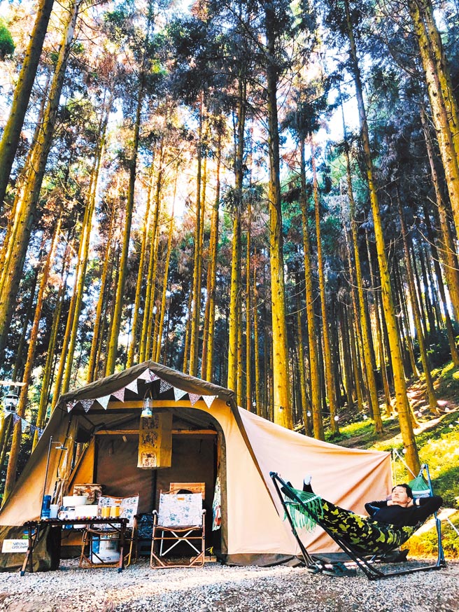 戈巴伦森林系营区让人更亲近山林。（图片为TromsoAurora挪威中文极光团提供）