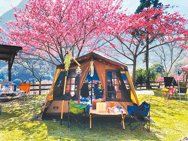 樱花圣地，比固花园。（图片为TromsoAurora挪威中文极光团提供）