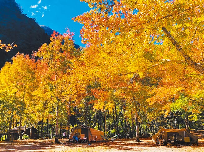 赏枫景点，美树营地。（图片为TromsoAurora挪威中文极光团提供）