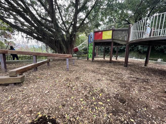 新北市三峡中山公园近期冒出不少甲虫幼虫，许多幼虫被前来玩耍的民眾踩死，当地掀起保育声浪。三峡区公所表示，目前已设置警示线，后续将协同农业局邀集保育人员办理会勘。（吴柳树提供）