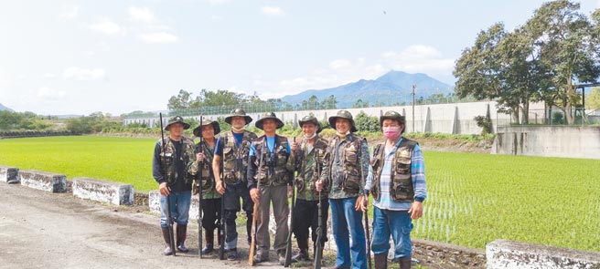 花蓮縣境內再度發現一群埃及聖鹮，約有20隻，花蓮林管處已請獵人隊擴大搜尋、移除。（花蓮林管處提供／王志偉花蓮傳真）