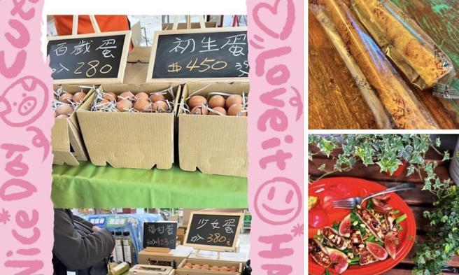 藺奕》人比人氣死人，蛋比蛋氣死蛋