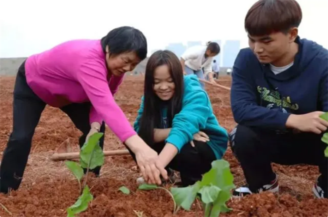 65岁扫地阿姨刘珍华（左）在开心农场指导学生种菜。（图／湖南职业教育）