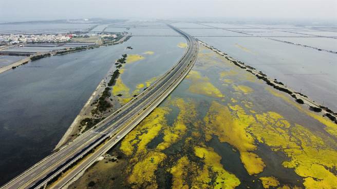 台61线台南将军段两旁废盐滩地出现黄色、绿色交织的大片色块，透过空拍视角来看，在笔直的公路衬托下，十分壮观。（黄一盛提供／张毓翎台南传真）