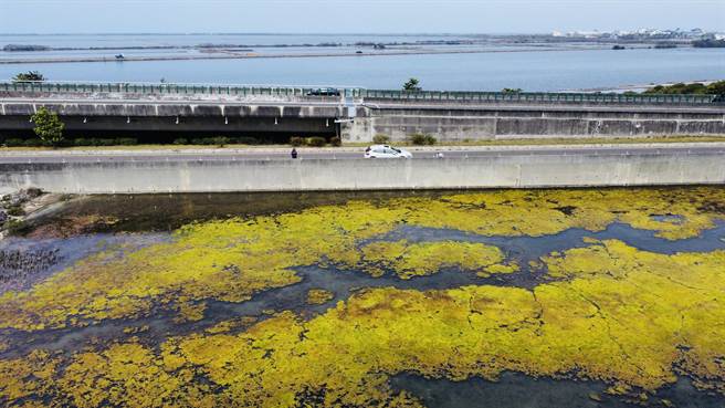 如油画般景致，让人开车经过总会忍不住多瞧一下。（黄一盛提供／张毓翎台南传真）
