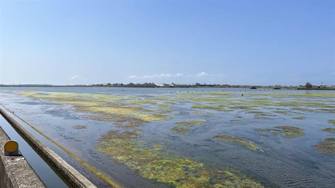 该处废盐滩地位在台61线下台南马沙沟往青鲲鯓平面道路的两旁。（张毓翎摄）