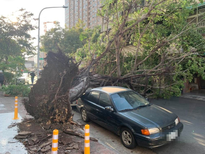 高雄今（7）日下午刮起阵阵强风，市区一度达8级强风，光復二街的路树不敌强风吹袭，应声倒塌，树干不偏不倚打中停在路边的自小客后车箱，所幸无人受伤。（翻摄照片／石秀华高雄传真）