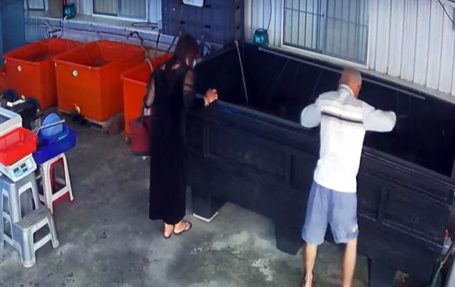 台東市1對男女昨天闖進水產量販店狂撈蝦，店家氣炸。（翻攝畫面）