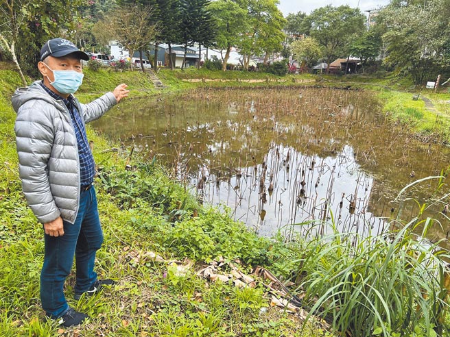乡长社区发展协会理事长何庆煌为把煤矿史蹟与景点结合，召集志工重新整理荷花池，5月花季即可观赏满池盛开的荷花。（王扬杰摄）