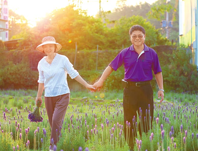 葛瑞丝香草田主人刘志宏与太太王静仪15年前参与戒毒公益团体，为了帮助染上毒瘾的人戒毒，才开辟出这片近1公顷的薰衣草田 。（王静仪提供／李京升苗栗传真）