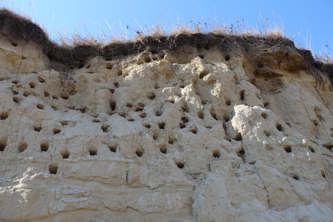 大陸研究員在湖北恩施巴東縣地區，發現50個大小不一的洞窟，進一步得知此為古代懸棺墓葬群。(示意圖/達志影像)