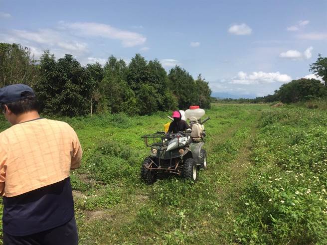 花莲县入侵红火蚁蚁丘多分布于凤林镇与光復乡，县府今年将与2地区农会合作，培训地方合格施药人员，投入防治工作，盼能有效杀灭红火蚁。（花莲县政府提供／罗亦晽花莲传真）