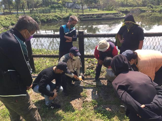 花莲县入侵红火蚁蚁丘多分布于凤林镇与光復乡，县府今年将与2地区农会合作，培训地方合格施药人员，投入防治工作，盼能有效杀灭红火蚁。（花莲县政府提供／罗亦晽花莲传真）