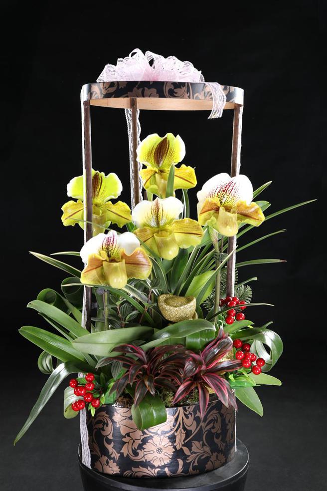 （组合盆栽。图／农粮署提供）