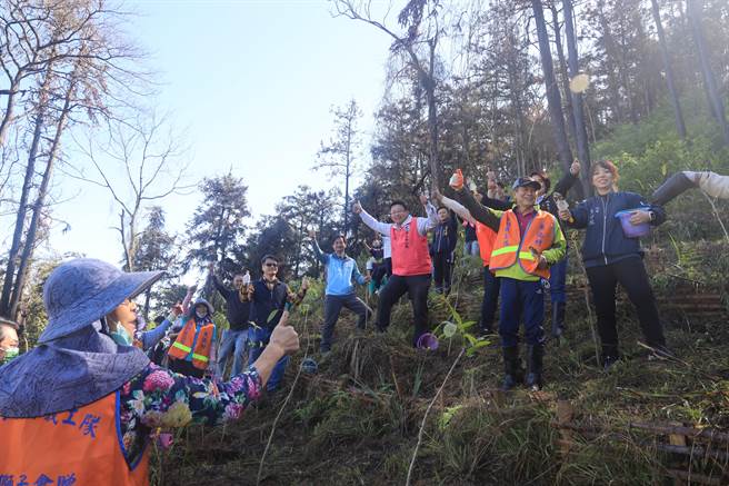 8日公所偕同林務局南投林管處、魚池國中學生以及當地民眾，近百人攜手接力重回燒毀的魚池尖山，種植300珠的桃花心木。(公所提供／吳建輝南投傳真)