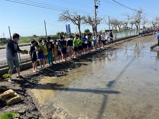 彰化二林鎮香田國小今天下午邀請到鹿港鹿東國小師生，一起在學校的生態田，體驗插秧課程。(謝瓊雲攝)