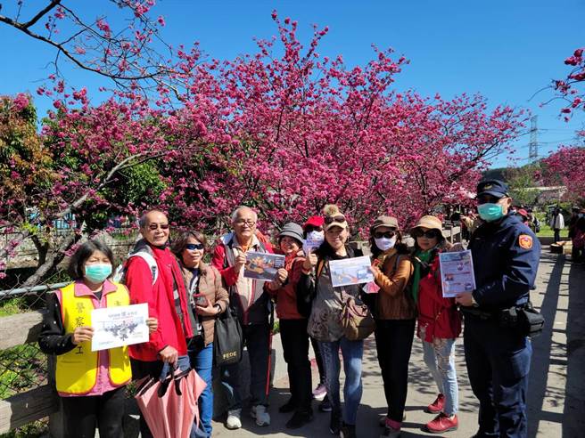 大甲警分局于樱花树下浪漫交通安全宣导，让民眾最有感！（警方提供）
