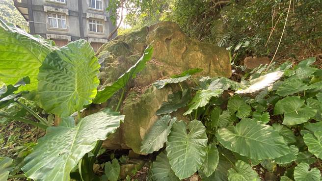 基隆市中正區中正路170巷有2處邊坡過去發生土石滑落情況，地方盼能設置防護措施。（立委蔡適應提供／陳彩玲基隆傳真）