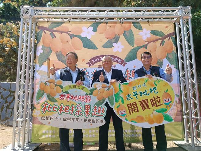 台中市农业局长蔡精强、太平区农会总干事余文钦以及太平区长许贵芳（由左而右）9日在太平大湖桶枇杷生产园区举办「2022年太平枇杷节系列活动」记者会。（冯惠宜摄）
