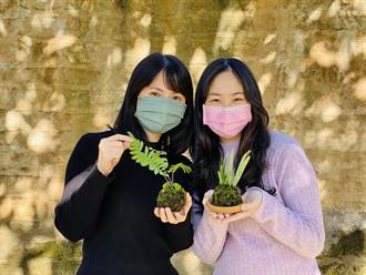 響應國際森林日 淡水古蹟博物館推植物導覽、苔球DIY