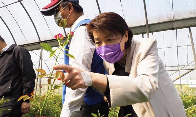黄珊珊》北市延长鲜花保鲜期 保住情人节求生秘笈！