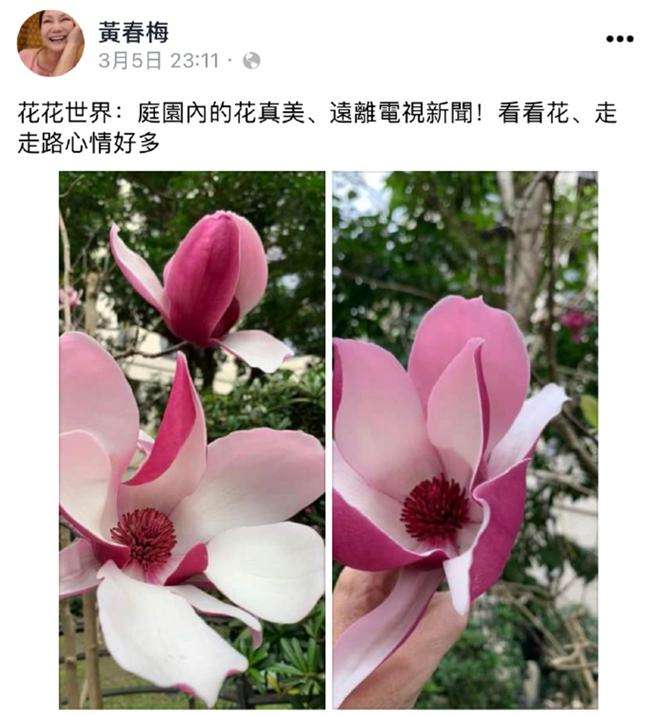 S妈本月5日发文。（图／取自新浪娱乐）