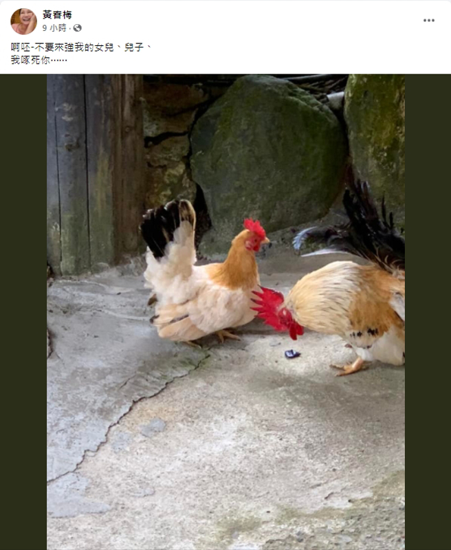 S妈再发文暗喻家中状况。（图／大S妈脸书）