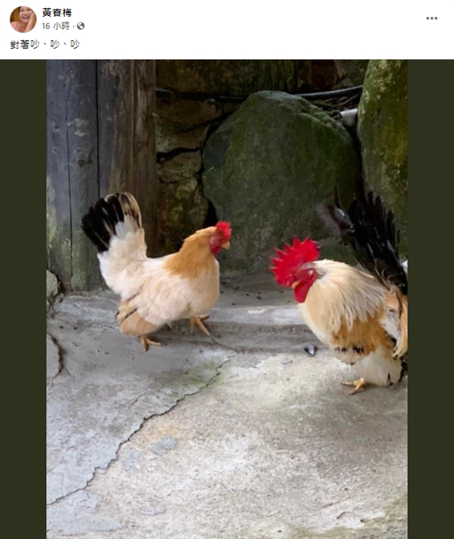 S妈曝家中状况。（图/S妈脸书）