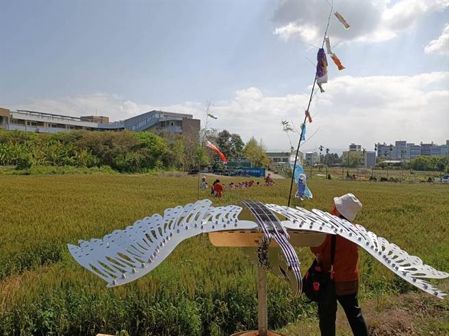 大雅麦田地景互动装置艺术节将于12日登场，不仅可进入金黄麦田拍照、收割小麦，还能走迷宫嬉戏。（陈淑娥摄）