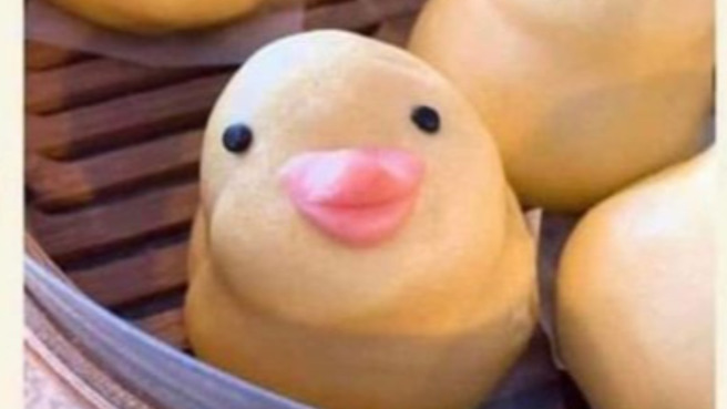 有网友分享「拔智齿鸭馒头」的逗趣模样，让大家笑疯。(图／翻摄自爆废公社公开版) 