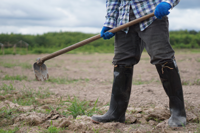 大陆一名网友面试时，人资突然发给他们每人一把锄头，要求他们翻地、挖洞。(示意图/达志影像)