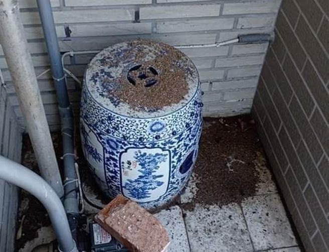 阳台惊见神秘土色粉末，抬头差点去见佛祖。（图／翻摄自爆废公社）