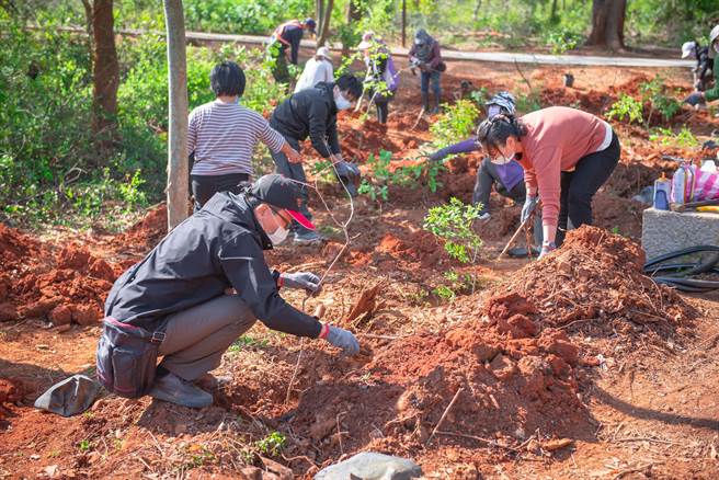 金管處趕在春雨來到時植樹，期待再見綠意盎然的好風光。（金管處提供）