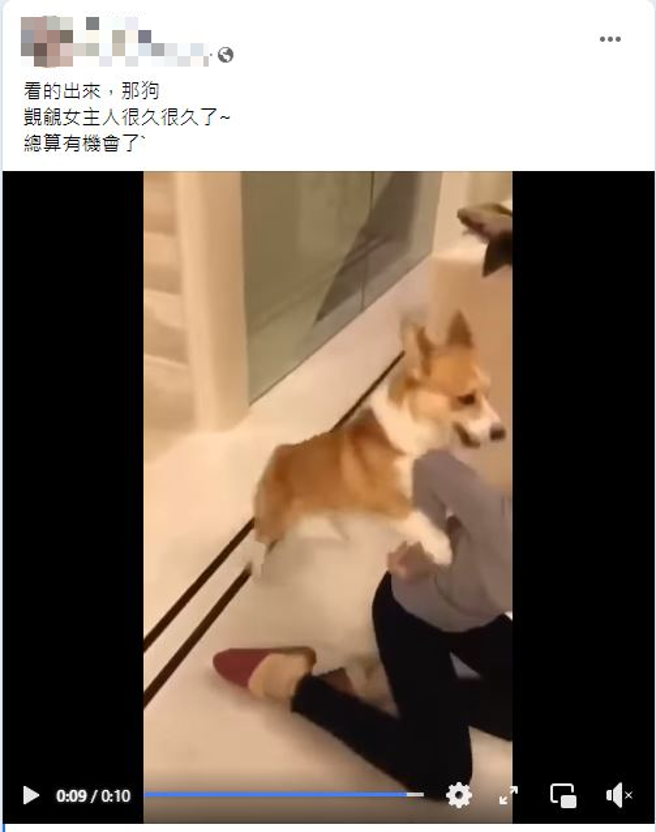有名女子為了測試家犬突然昏倒，卻見家犬秒趴她身上做出「活塞」運動。（翻攝自臉書爆廢公社公開版）