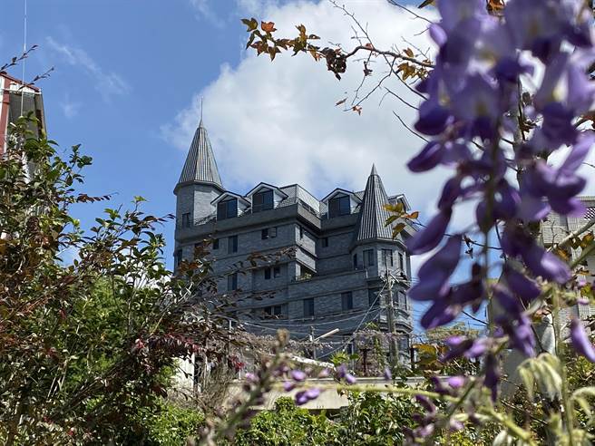 紫藤花与附近建筑构成美景。（张亦惠摄）